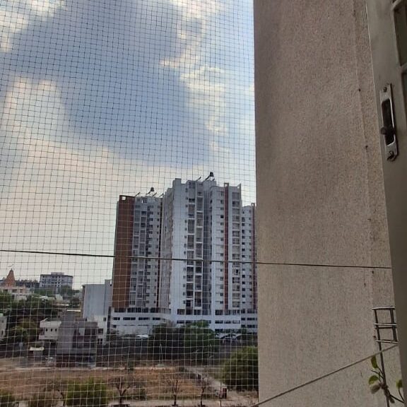 Invisible Grill with Bird Net