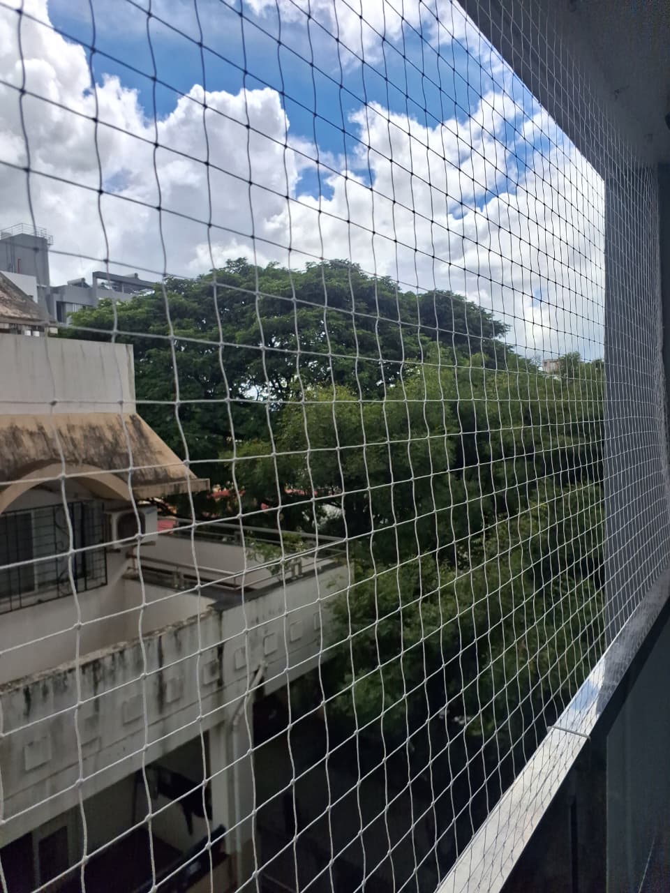 WhatsApp Image 2025-10-08 at 12.46.28 PM