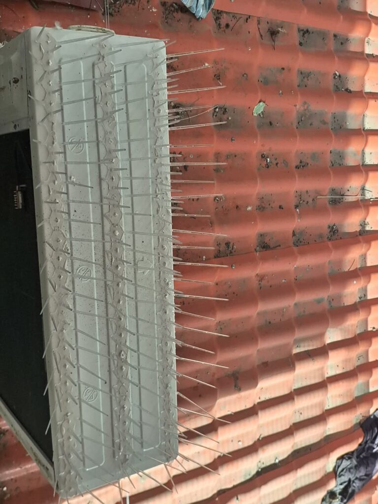 Custom Bird Net Design