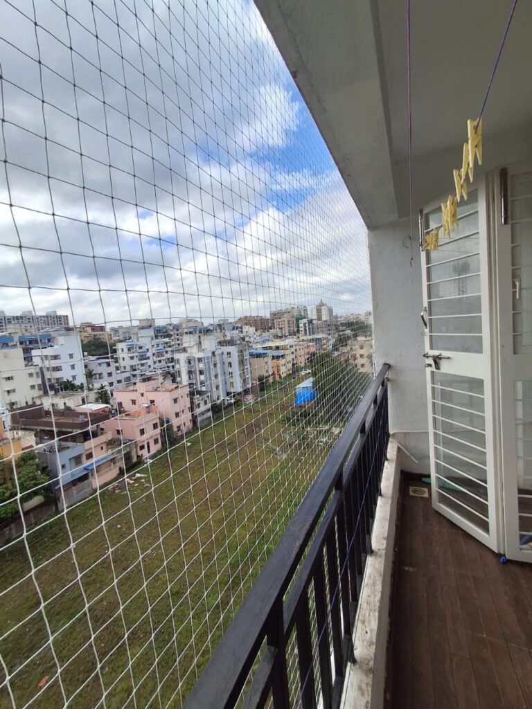 Pigeon Control Service