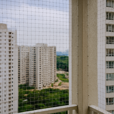 Copilot_20251030_030611